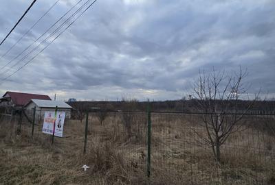 Teren Construcții intravilan de 6309 mp, în Izvoare - 4