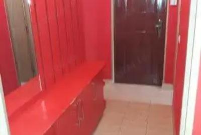 Apartament cu 2 camere semidecomandat în Beiuș - 7