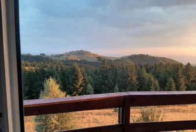 Casa individuala cu teren zona Paltinis - 32