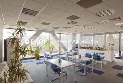 Euro Tower, Barbu Vacarescu, 220 - 3790 mp 0% comision! - 16