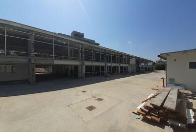 Spatiu 1680mp, in Voluntari, Pipera, in apropiere de giratoriu - 5