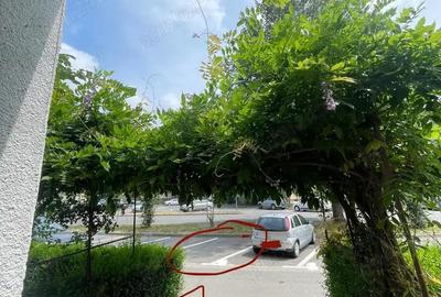Apartament cu 3 camere decomandat în Nufărul - 2