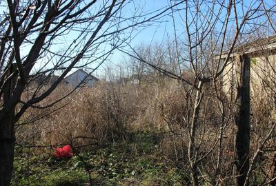 Casă cu 3 camere în Jilavele - 4