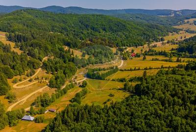Teren extravilan de 20000 mp, în Dălghiu - 7