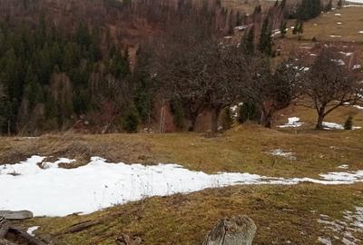 Teren în Mărișel - 4