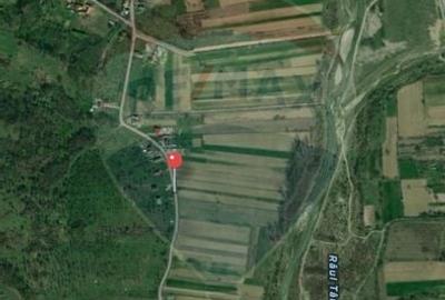 Teren de vanzare - Valea Bradului, oportunitate de investitie! - 3