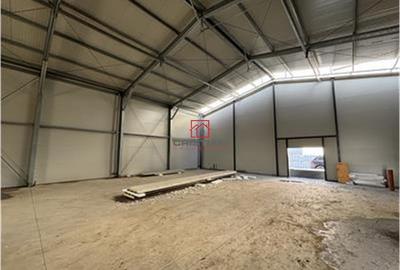 Spațiu comercial, de 6,000 mp, în Jilava - 10