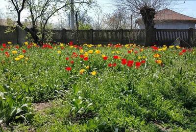 Casă cu 3 camere în Exterior Vest - 3