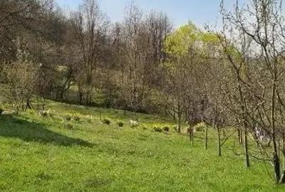 Teren de 2900 mp, în Ocina de Jos - 3