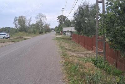 Teren 800 mp zona linistita Teren 800 mp zona linistita - 2