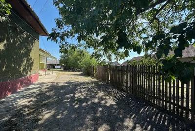 Casa cu teren de 6060 mp | LOC. BICACI | BIHOR - 7