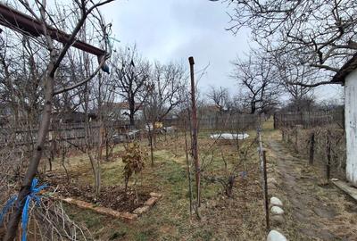 Vila P+1  Ploiesti - Paulestii Noi - 50