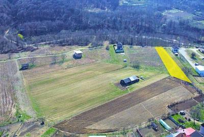 BUDESTI - TEREN 2550 MP - 2