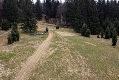 Teren cu potential:1.000 mp,proiect turistic/rezidential,Poiana Brasov - 9