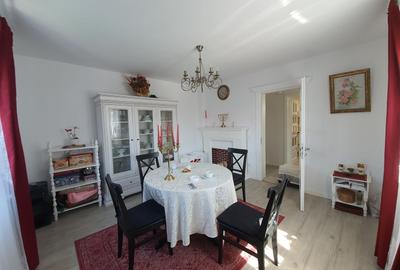 Casa de vacanta | Curte | Teren | Belciugatele | Calarasi - 17