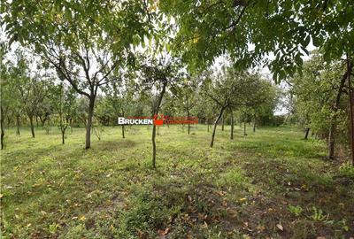 Casă cu 4 camere cu Teren 2066 Mp în Central - 5