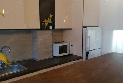 Apartament cu 2 camere semidecomandat în Dobroești - 6