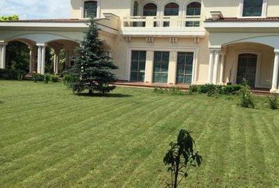 Casă individuală cu 10 camere cu Canalizare în Prelungirea Ghencea - 14