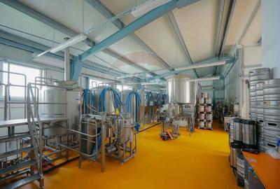 Hala industriala, Parcul Industrial Bors II, De Vanzare - 10