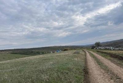 Teren extravilan Perieni, cota parte 6/16 , ID: R2822105 - 1