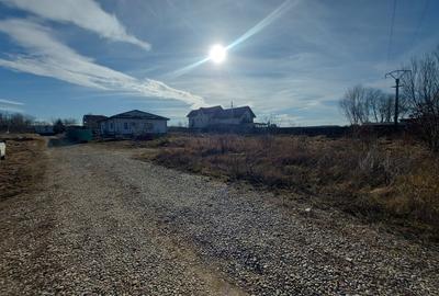 Loc pentru casa cu utilitati la 500m de padure, Ciofliceni - Snagov! Loc pentru casa cu utilitati la 500m de padure, Ciofliceni - Snagov! - 4