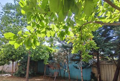 Casă individuală cu 11 camere cu Canalizare în Cantemir - 3