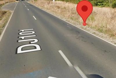 Teren de 10000 mp, în Lipia - 2