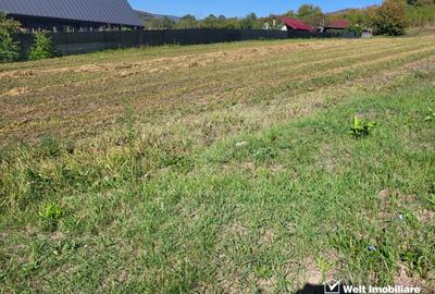 Teren de vanzare – Popesti Vale, 3600 mp - 2