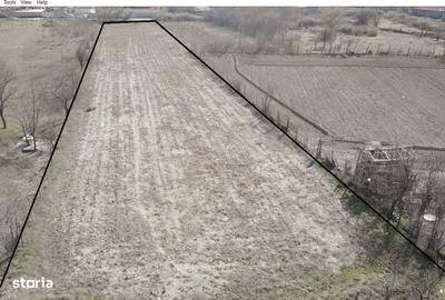 Teren de 4621 mp, în Cerna - 3