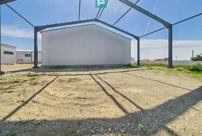 Hala industriala in zona Giarmata Timi? - 5