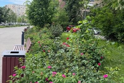 Apartament cu 2 camere decomandat, mobilat în Drumul Taberei - 14