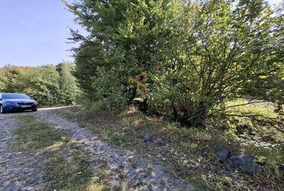 Comision 0. Teren cu autorizatie de construire in Salicea - 6