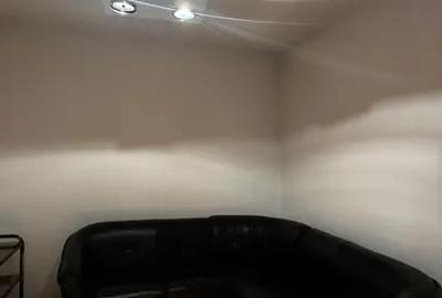 Casa Parcul Carol 570 MP Garaj Metrou Unirii Sau Tineretului 10 Min - 2