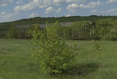 Teren de 4500 mp, în Sânpaul