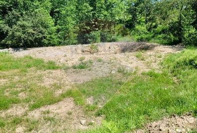 Teren agricol extravilan de 6725 mp, în Hoteni - 4