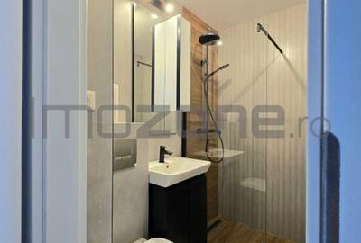 2 camere, decomandat, renovat complet, Raul Doamnei- Drumul Taberei - 11