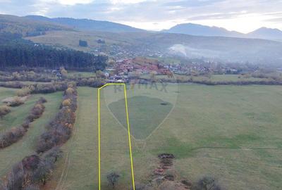 Teren de 5800 mp, în Purcăreni - 4