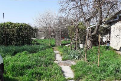 Casă cu 2 camere în Sintea Mare - 1