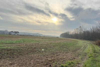 Vanzare teren, zona Domnesti, Ilfov - 1