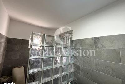 Casă cu 3 camere în Adrian