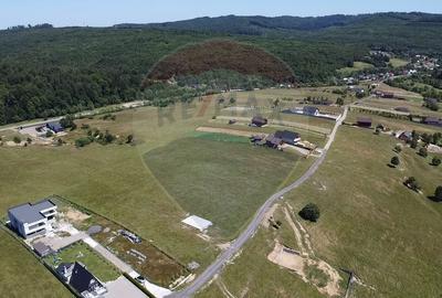 Teren agricol extravilan de 3757 mp, în Păltinoasa - 7