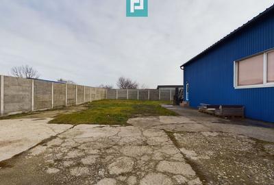 Depozit frigo în Săcălaz Depozit frigo în Săcălaz - 3