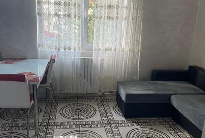 Apartament 2 camere P.Tineretului - 2