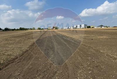 Teren Construcții intravilan de 400 mp, în Ișalnița - 1