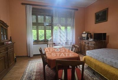 Proprietate cu potential turistic in Gurahont - 19