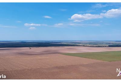 Teren de 9300 mp, în Frumușani - 3