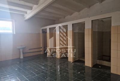 Hala de depozitare,productie ,birouri,zona Sud-Vest - 9