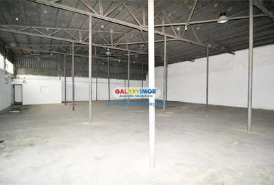 Inchiriere spatii depozitare suprafete intre 500 mp si 11000 mp - 22