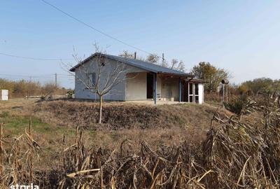 Teren de 10953 mp, în Ceatalchioi - 6