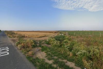 Teren Intravilan Berceni Manastire | curent gaz la sosea | #LG5E - 3